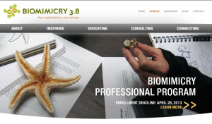 Biomimicry 3.8
